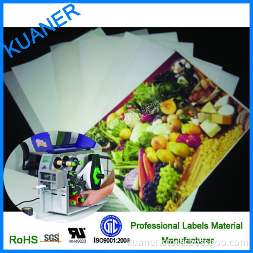 polypropylene labels material white matte Inkjet roll